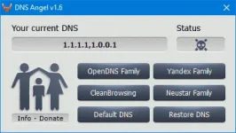 DNS%20Angel1.webp