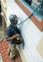 1662374783883.webp