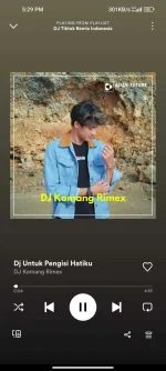 Screenshot_2022-09-06-17-29-21-149_com.spotify.music.webp