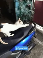 1662470207620.webp