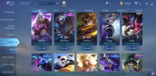 Screenshot_20220909-193446_Mobile Legends Bang Bang.webp