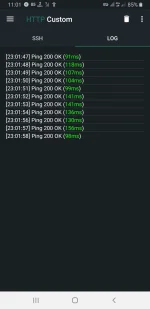 Screenshot_20220909-230200_HTTP Custom.jpg
