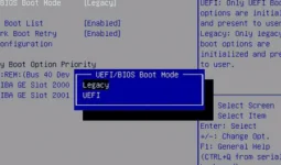 vblInfp.webp