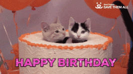 200.gif
