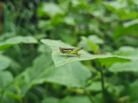20220808_093052.webp