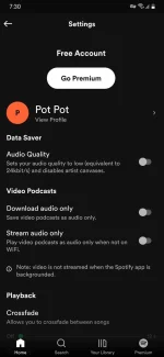 Screenshot_20220914-073035_Spotify.webp