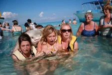 FB_IMG_1663158785142.webp