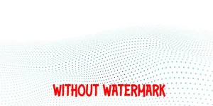 1663278394181.webp