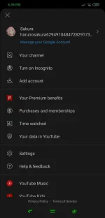 Screenshot_2022-09-17-18-36-54-553_com.google.android.YøùTùbé.webp