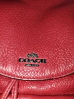 IMG_20220918_064045.webp