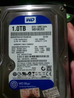 DSC_0066.webp