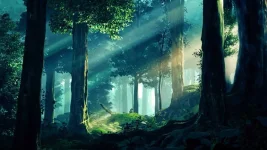 mpc-hc64 2022-09-18 15-14-57-570.webp mpc-hc64 2022-09-18 15-14-57-570.webp