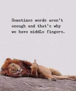 FB_IMG_1662871771184.webp