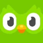 duo.webp