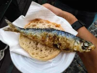 lisbon-sardine-festival-sardine-bun.webp