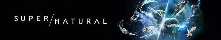 supernatural-2022.jpg supernatural-2022.jpg