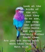 FB_IMG_1663974092554.webp