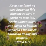 FB_IMG_1663974431186.webp FB_IMG_1663974431186.webp