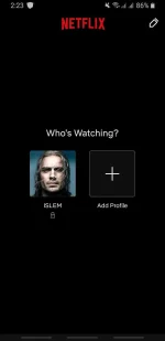 Screenshot_20220924-142315_Netflix.webp Screenshot_20220924-142315_Netflix.webp