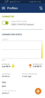 Screenshot_20220925_114918_net.openvpn.openvpn.webp