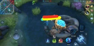orca-image-1229150841.jpeg