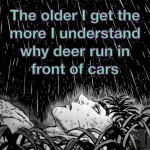 FB_IMG_1661344560622.webp