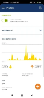 Screenshot_2022-09-27-13-55-55-402_net.openvpn.openvpn.webp