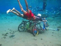 FB_IMG_1664271097940.webp