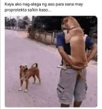 1664417270776.webp