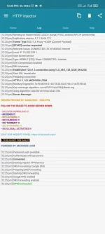 Screenshot_2022-10-01-12-25-46-999_com.evozi.injector.webp