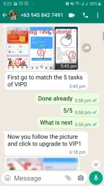 1B.webp
