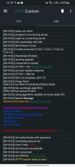 Screenshot_20221003-001059_HTTP Custom.webp