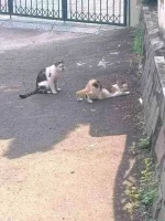 FB_IMG_16647038650789131.webp