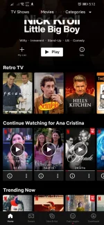 Screenshot_20221004_171203_com.netflix.mediaclient.webp