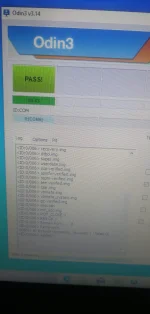 16648812671223385348420085037325.webp
