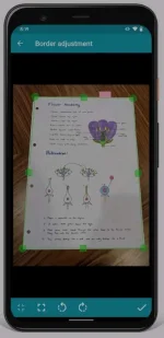 IMG_20221006_081433.webp