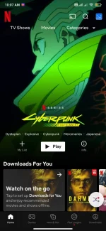 Screenshot_2022-10-07-10-07-58-032_com.netflix.mediaclient.webp