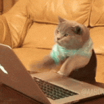 200.gif 200.gif
