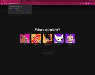 Capture.webp