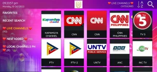 Screenshot_20221010-212058_VIP-TV.webp