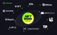 nft domain.webp