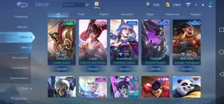 Screenshot_20221011_182256_com.mobile.legends.jpg