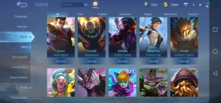 Screenshot_20221011_182314_com.mobile.legends.jpg