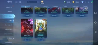Screenshot_20221011_182332_com.mobile.legends.jpg