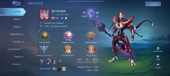 Screenshot_20221011_192511_com.mobilelegends.hwag.jpg