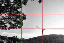 1665563367714.jpg 1665563367714.jpg