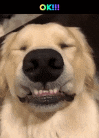 200.gif