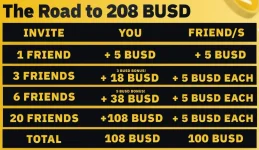 Road to 208 BUSD.jpg