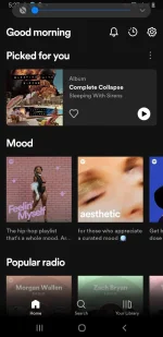 Screenshot_20221016-052739_Spotify.webp
