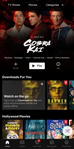 Screenshot_20221016-103338_Netflix.webp